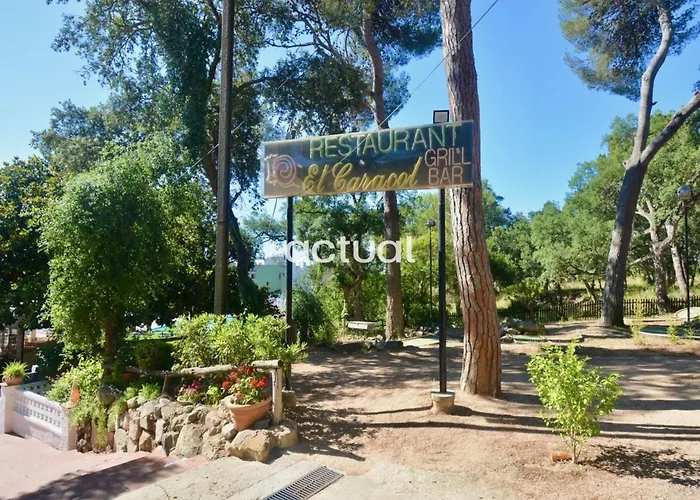 Politur F-42 * 플라티야 다로